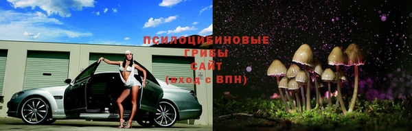 спайс Строитель