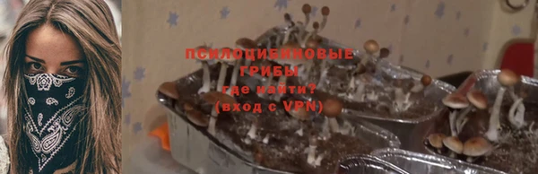 спайс Строитель