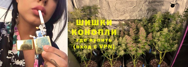 спайс Строитель