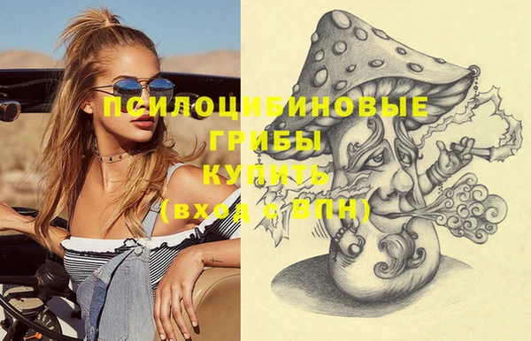спайс Строитель